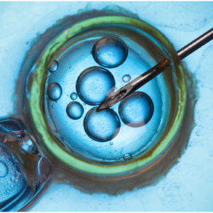 Success Rates of IVF in Singapore