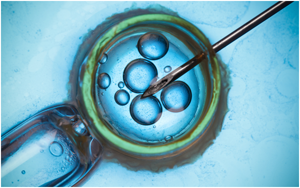 Success Rates of IVF in Singapore